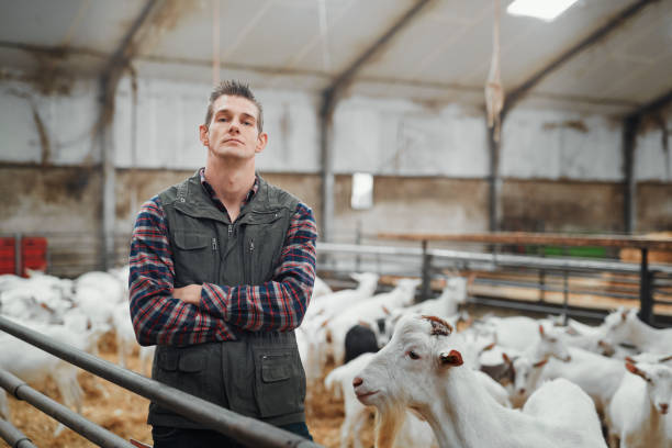 istock I take pride in the dairy we produce 1172651966