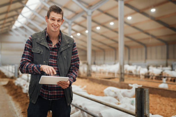One of the best tools a modern farmer could have Shot of a young man using a digital tablet at a goat farm sheep shed stock pictures, royalty-free photos & images
