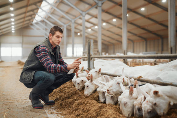istock Running a farm with all the right tech 1172653051