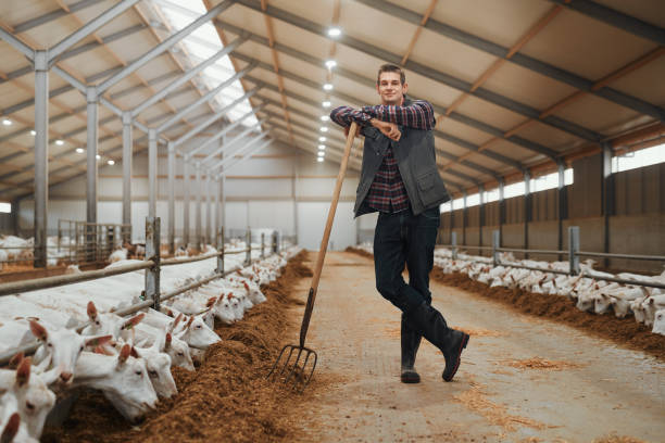 istock Expect nothing but the best at my farm 1172653086