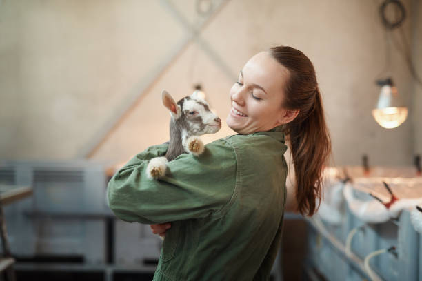 Cuteness overload Shot of a young woman holding an adorable baby goat at a dairy farm goat pen stock pictures, royalty-free photos & images