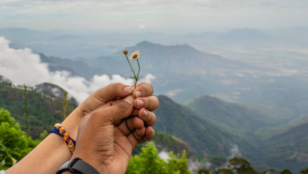 Couple holding beautiful flower showing the togetherness Couple holding beautiful flower showing the togetherness in the amazing nature. the life meaning of this image is to be one forever. kodaikanal photos stock pictures, royalty-free photos & images