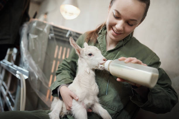 istock How much of an 'aww' moment is this? 1172654877