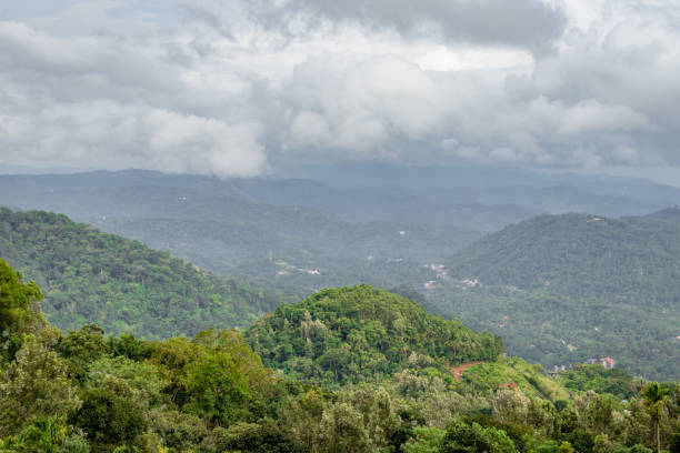 istock mountain covered with green forest and low cloud 1172655038