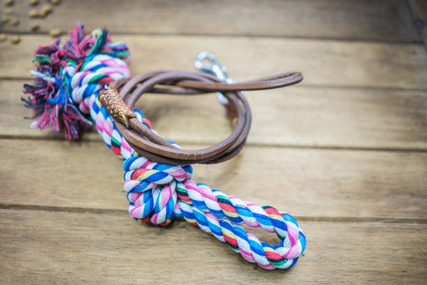 istock Pet leash with toy on table.  Pet accessories concept 1172657167