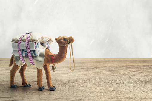 Camel Figure, Camel concept of Holy Month Ramadan