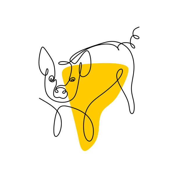 One line drawing of pig vector minimalist design One line drawing of pig vector minimalist design pig symbols stock illustrations