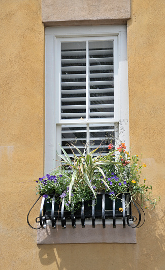 A window with cheerful window box taken in Charleston, South Carolina. Nikon D300 (RAW)