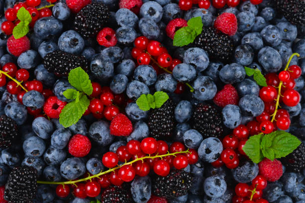 istock Blackberry, raspberry, blueberry,  red currant and mint background. 1172663693