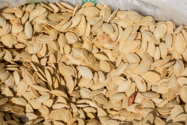 istock Pumpkin seeds.  Background texture of the pumpkin seeds 1172664113