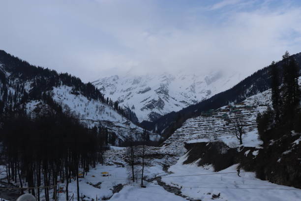 istock Snow at hills with tree and sky 1172664226
