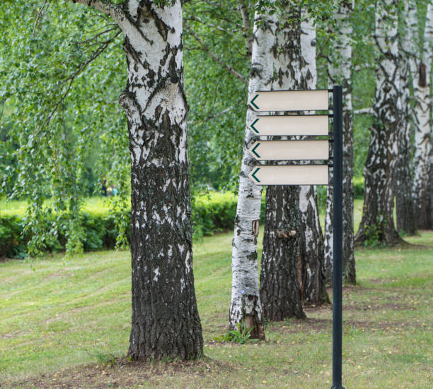 Kleurrijke lege zingt geïsoleerd op bos achtergrond. Singboard.