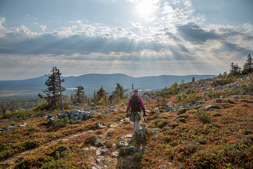 Woman hiking on mountain in Lapland Finland