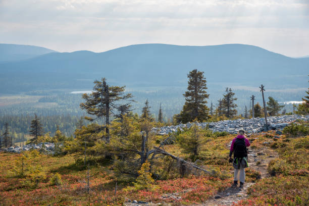 istock Woman hiking on mountain 1172665702