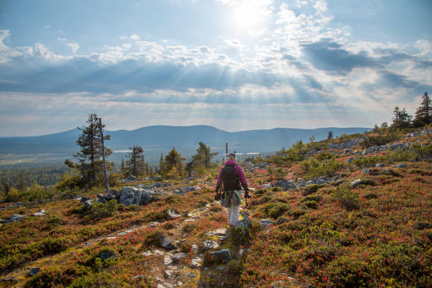 Woman hiking on mountain Woman hiking on mountain in Lapland Finland finnish lapland autumn stock pictures, royalty-free photos & images