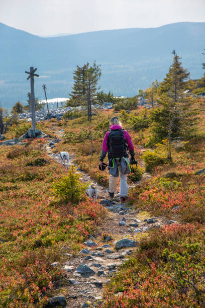 istock Woman hiking on mountain 1172665791