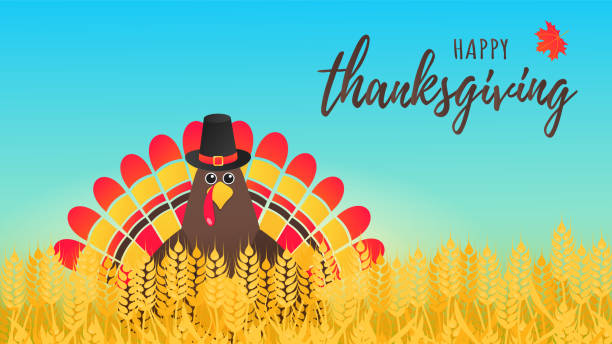 ilustrações de stock, clip art, desenhos animados e ícones de happy thanksgiving day flat style design poster vector illustration with turkey in the field, text and autumn leaves. turkey with hat and colored feathers celebrate holidays! - vector thanksgiving fall holidays and celebrations