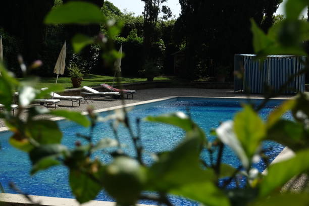 istock Swimming pool in public park 1172668126