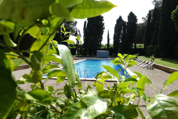 istock Swimming pool in public park 1172668169