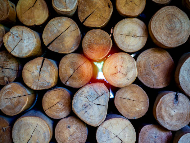 Firewood background with warm light. Chopped wood ready for winter.