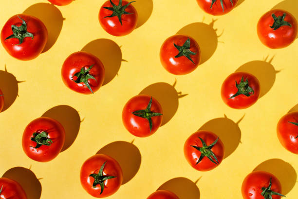 istock Flatlay of fresh red ripe tomatoes knolled 1172670484