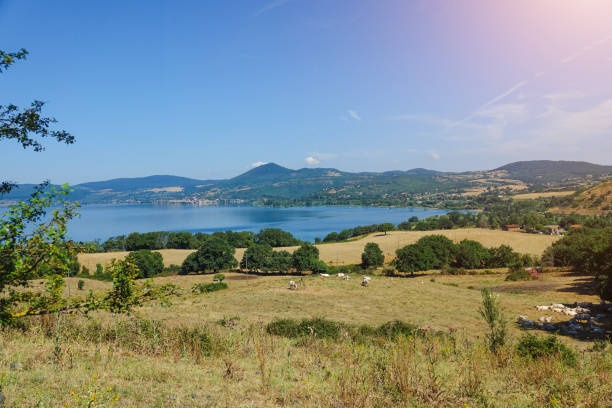 widok na jezioro bracciano z krowami - bracciano zdjęcia i obrazy z banku zdjęć