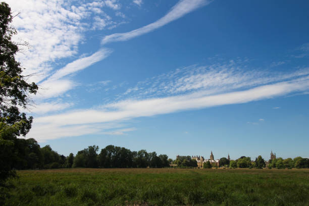 Beautiful green grass landscape with trees and a huge blue sky