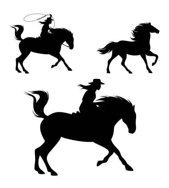 Vector illustration of cowgirl chasing mustang horse with lasso black vector silhouette