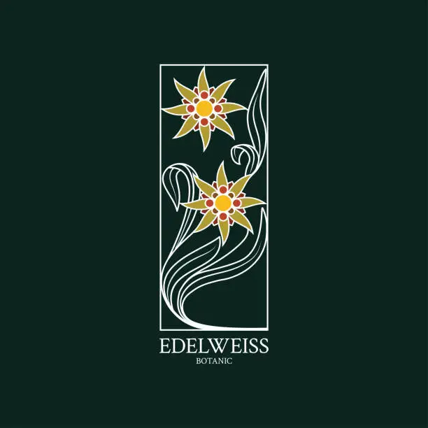 Vector illustration of Edelweiss logo. Flower design of the logo with a hand-drawn flower of Edelweiss
