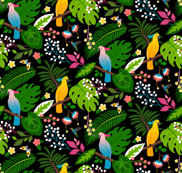 illustrations, cliparts, dessins animés et icônes de motif floral tropical sans couture - oiseau tropical