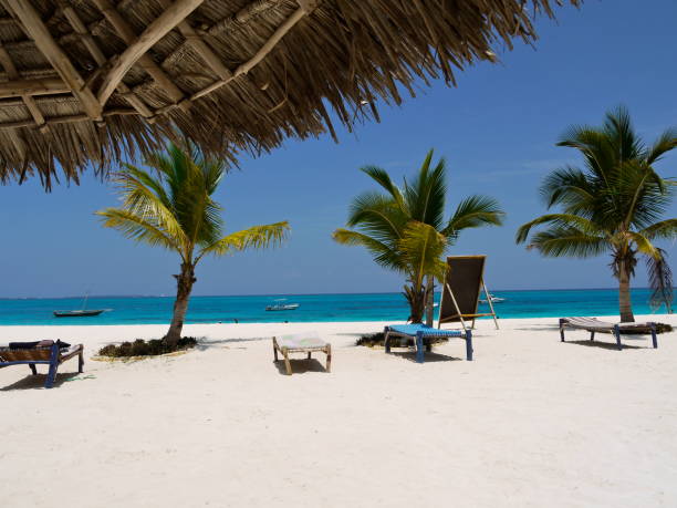 istock Beach with sun loungers and palm trees. 1172679841