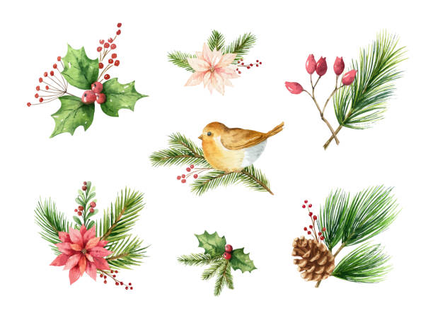 akwarela wektorowy świąteczny zestaw kompozycji dekoracyjnych do twojego projektu. - calendar holiday december christmas stock illustrations