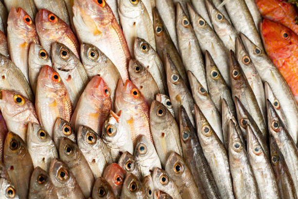 istock Seafood on ice at the fish market 1172681971