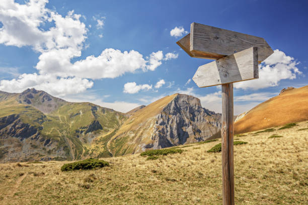 istock Wooden trail signs on Shara Mountains 1172683161