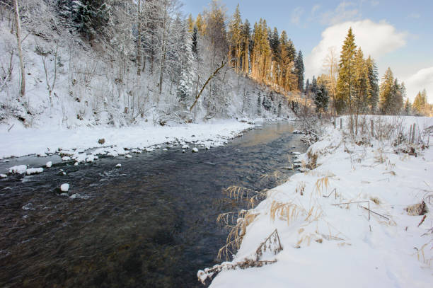istock panoramic tranquil landscape at winter in germany 1172686442