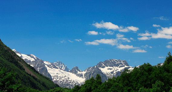 Snowy caucasus mountains and green forest under
