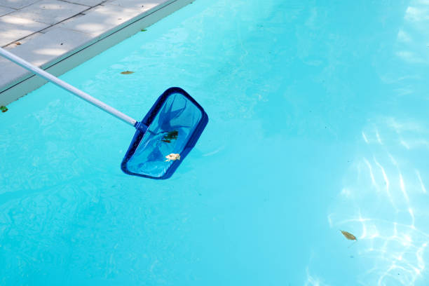 istock Removing leaves from a domestic swimming pool with a net 1172688382