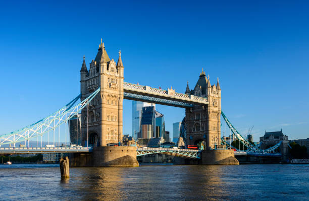 istock Tower Bridge and the River Thames, London, England 1172689862