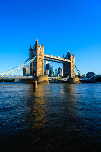 istock Tower Bridge and the River Thames, London, England 1172689896