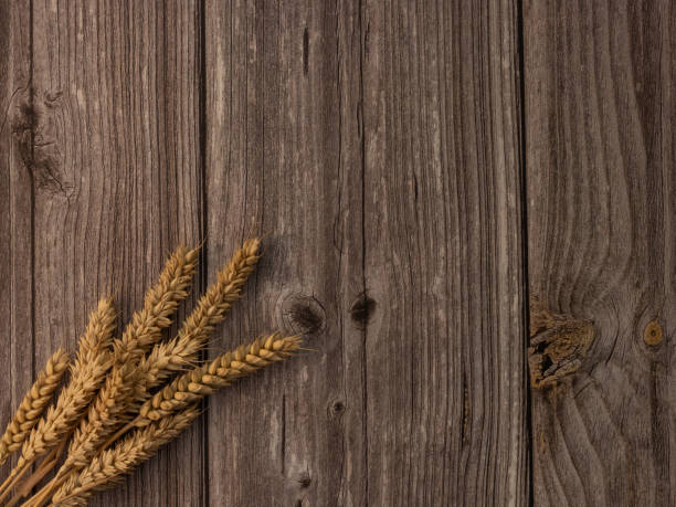 istock Cereals on a wooden table 1172690727