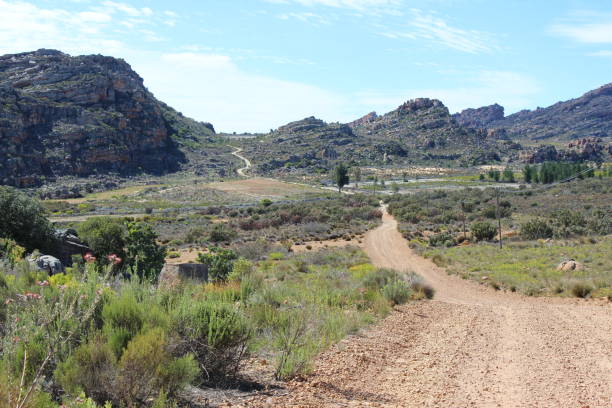 istock Gravel mountain road 1172690788