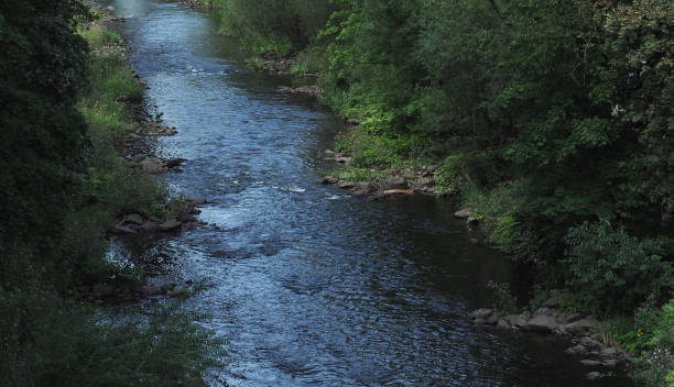 istock River Wupper in Wuppertal 1172691041