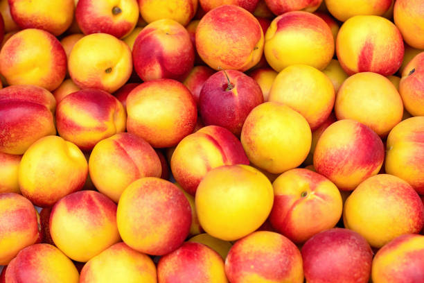 Fresh ripe nectarines or peaches at the market. Selective focus, background. Fruit harvest natural background for news or designer. nectarine stock pictures, royalty-free photos & images