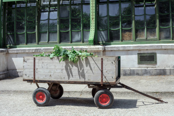 istock Old wooden cart with tree branches 1172692374