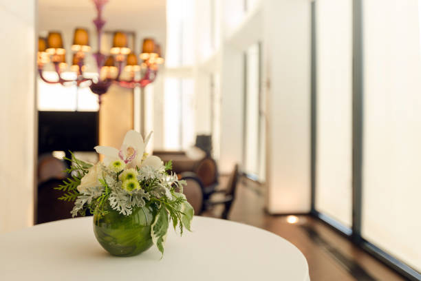 Indoor plant on wooden table