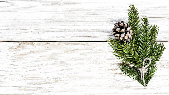 Fir branch and pine cone on white wooden plank christmas background.