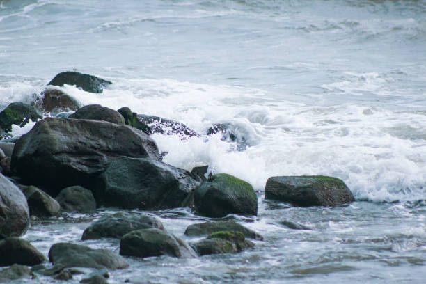 istock Moments by the Sea 1172696111