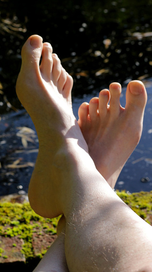 Stock photo of man's feet cooling down, man's hairy legs, feet and toes dipped in cold pond water with koi carp fish swimming nearby, dipping feet into water to cool down on hot day in summer, reflections of garden