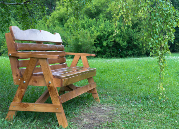 istock wooden bench in the Park 1172697730