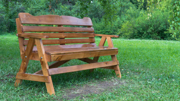 istock wooden bench in the Park 1172697791